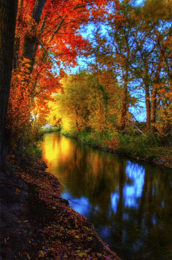 colors of autumn 94