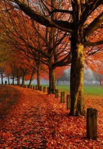 18 Fascinating Photos of Places in the Amazing Autumn ...