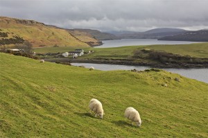 Pretty Farm Near Carbost, Loch Harport