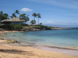 Kapalua Bay Beach, Maui, Hawaii3