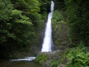 Lydford Gorge, Devon, UK 2