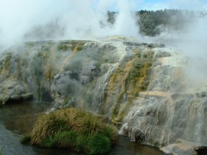 Geothermal area in Rotorua, New Zealand (3)