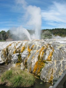 Geothermal area in Rotorua, New Zealand (9)