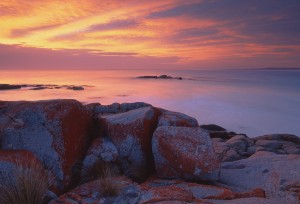 Bay of Fires Tasmania (4)