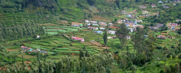 Ooty - The Evergreen Destination Of Pristine Beauty