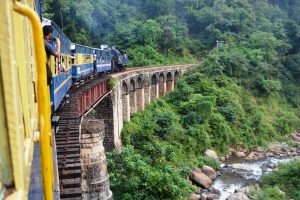 Bangalore Mysore Coorg tour package