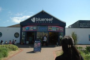 Blue Reef Aquarium, Portsmouth, England