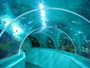 Blue Reef Aquarium, Portsmouth, England