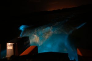 The glowing Luminous Lagoon, Jamaica