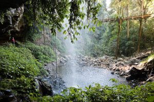 Crystal Shower Falls, Dorrigo Mountains, Australia