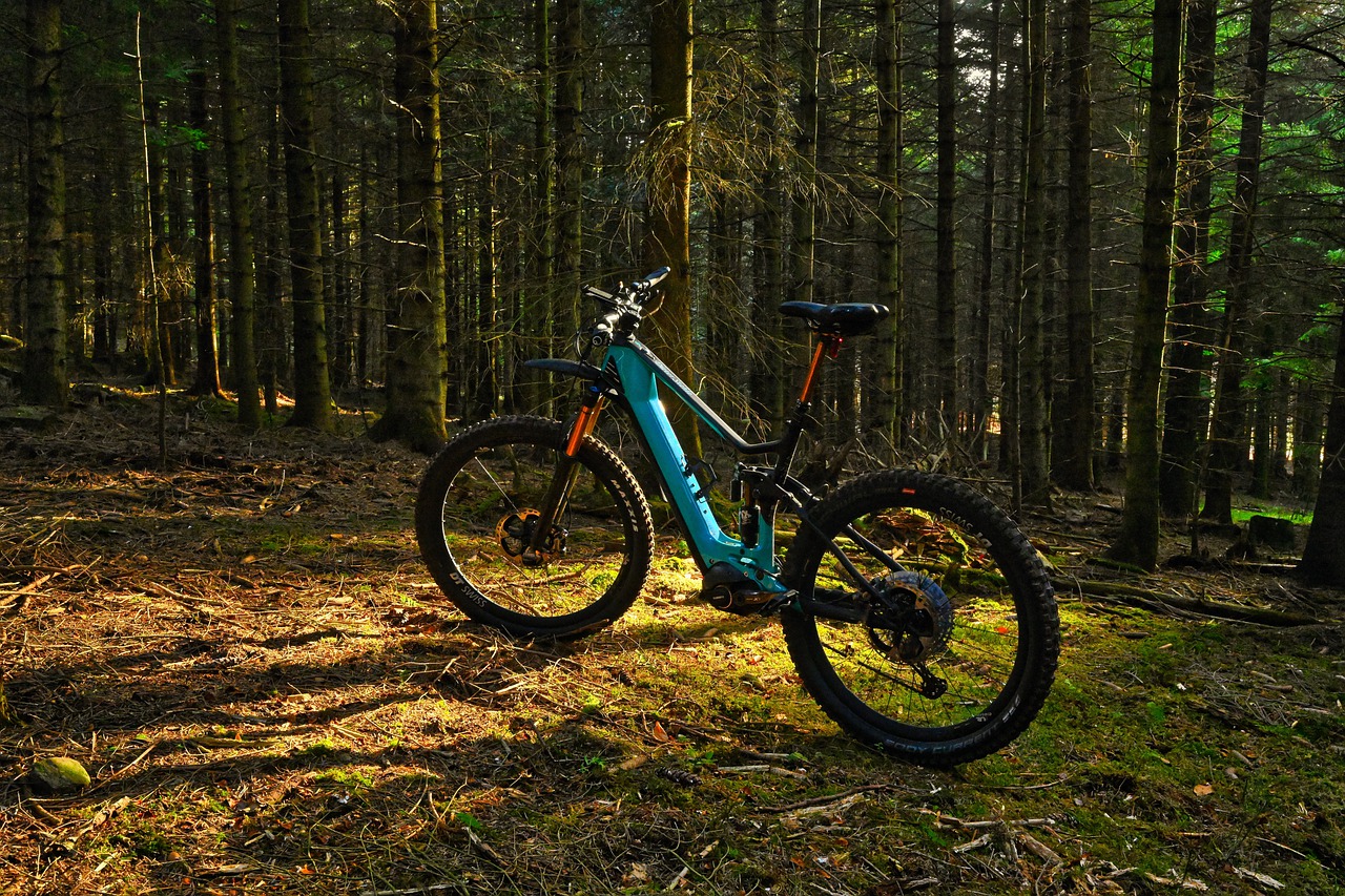 Электровелосипеды для леса
