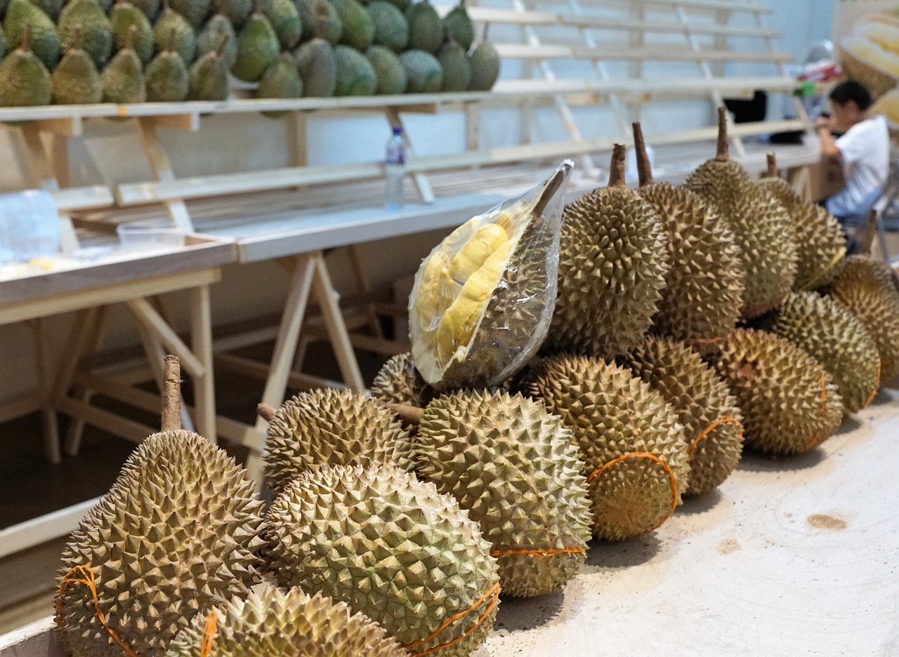 XO Durian <b>Price</b>.