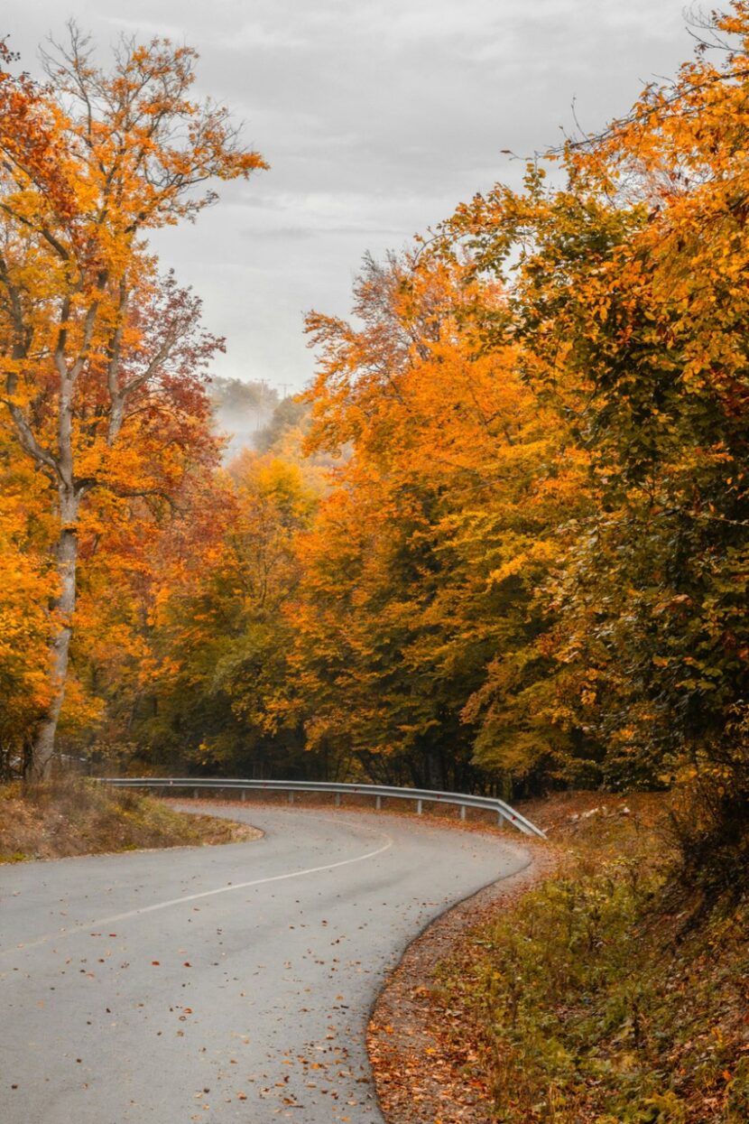 Europe’s Most Aesthetic Autumn Road Trips for 2025