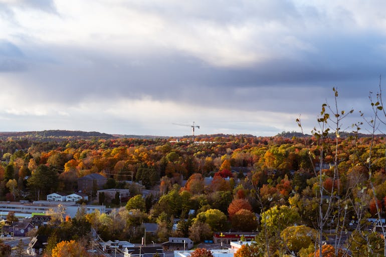 A Slower Pace, a Better Life: The Allure of Small-Town Living in Ontario